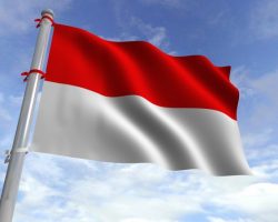 The Emergence of Fintech in Indonesia